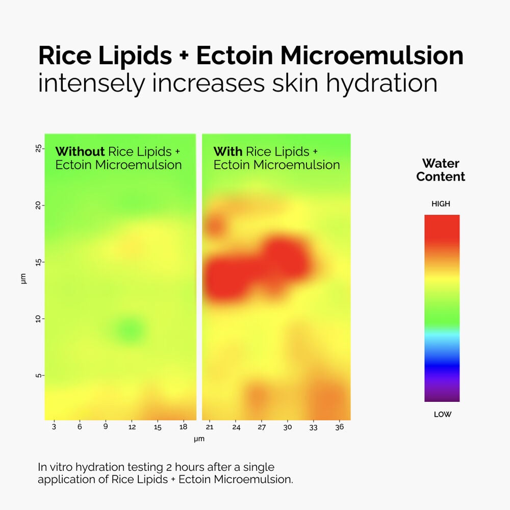 Rice Lipids + Ectoin Microemulsion - Image 6